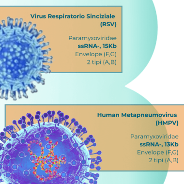 Differenze tra Virus Respiratorio Sinciziale (RSV) e il Metapneumovirus Umano (HMPV)